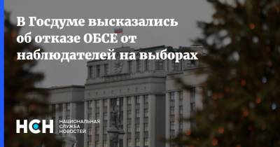 В Госдуме высказались об отказе ОБСЕ от наблюдателей на выборах
