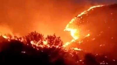 В Греции фронт пожара приближается к объектам Древней Олимпии