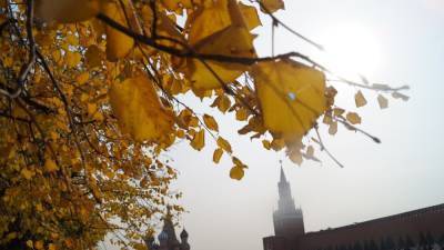 Осень придет в Москву уже в третьей декаде августа