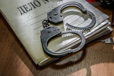 Подозреваемых в серии грабежей задержали в Подмосковье