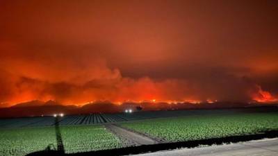 В Калифорнии лесной пожар охватил более 110 тысяч гектаров