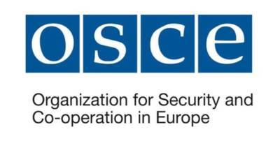 ОБСЕ не сможет отправить наблюдателей на выборы в Госдуму