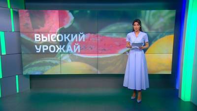 Новости на "России 24". Минсельхоз прогнозирует рост урожая арбузов и дынь