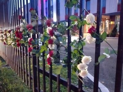 Балканисты принесли множество красных и белых роз к сербскому посольству в Москве
