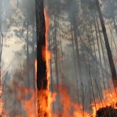 Дополнительно 128 человек направят в Якутию для тушения лесных пожаров