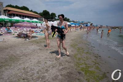 Температура морской воды в Одессе 5 августа: купаться можно