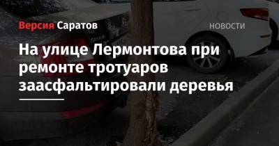 На улице Лермонтова при ремонте тротуаров заасфальтировали деревья