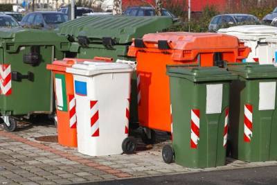 Петербургские экологи пожаловались на конкурс по поиску городского мусорного оператора