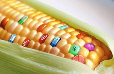 Кабмин предлагает увеличить штрафы за ГМО - agroportal.ua - Украина