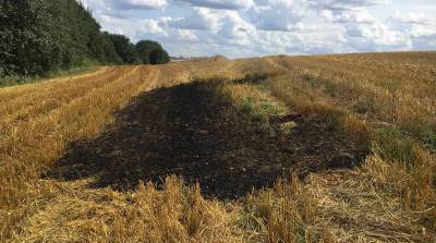 В Минском районе спасли от огня 24 га пшеницы