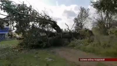 В Удмуртии ураганный ветер сильно повредил дома и производственные объекты на севере республики (ВИДЕО)