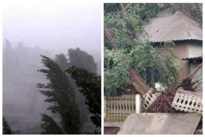 Ураган обрушился на Одесскую область, вырвал деревья с корнями и сорвал крыши: кадры непогоды