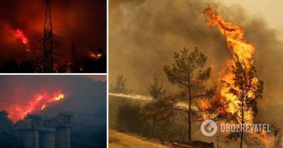 Пожары в Турции: огонь охватил ТЭЦ, власти начали эвакуацию. Видео
