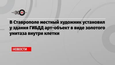 Алексей Сафонов - В Ставрополе местный художник установил у здания ГИБДД арт-объект в виде золотого унитаза внутри клетки - echo.msk.ru - Ставрополье