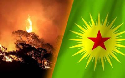 Курды отвергли свою причастность к лесным пожарам в Турции