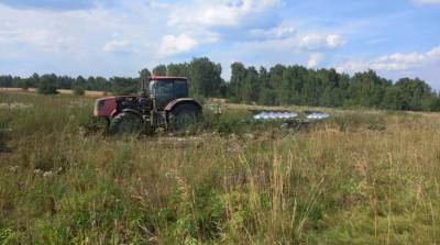 Плантацию дикорастущей конопли уничтожили в Славгородском районе