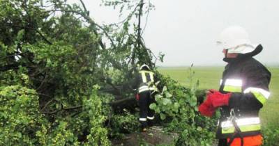 Непогода в Хмельницком: повалены деревья и подтоплены дома (ФОТО, ВИДЕО)