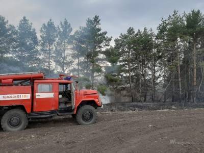 Полторы тысячи раз в Липецкой области горела сухая трава