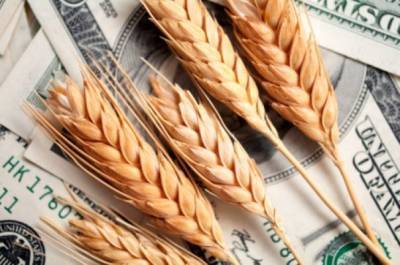 Цены на пшеницу в США и во Франции обновили свои годовые максимумы