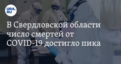 В Свердловской области число смертей от COVID-19 достигло пика