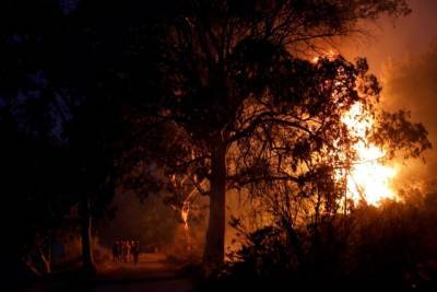 Греция третий день борется с лесными пожарами, под угрозой место проведения древних Олимпийских игр (ФОТО)