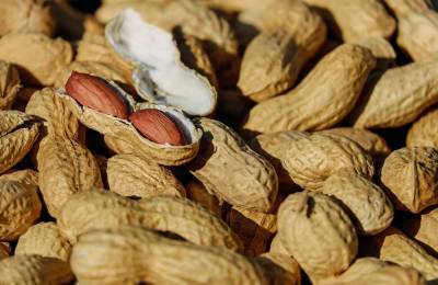 Ученые: Чрезмерное употребление арахиса способствует распространению рака