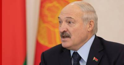 Лукашенко поручил заблокировать границу с Белоруссией от мигрантов