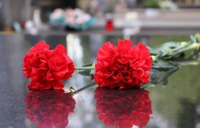 Останки более 200 красноармейцев с почестями перезахоронят в городе Белый Тверской области