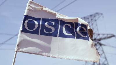 Политолог оценил решение ОБСЕ не посылать наблюдателей на выборы в ГД