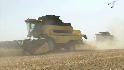 Хлеборобы Ростовской области собрали 11 миллионов тонн зерновых