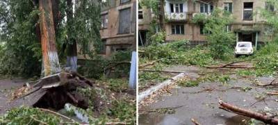 Ветер срывал крыши и валил деревья: в Одесской области пронесся мощный ураган
