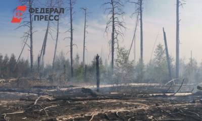 В Мордовии третий день не могут справиться с крупным пожаром в заповеднике