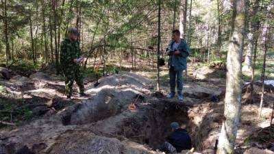 Массовое захоронение узников финских концлагерей обнаружено в Карелии