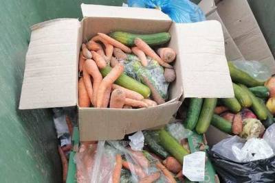 Саратовцы забирают дорогостоящую морковь из мусорных баков