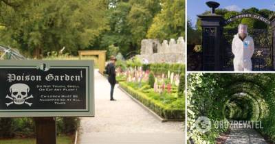 Самый смертоносный сад растет в Британии: что известно – The Alnwick Garden Poison Garden
