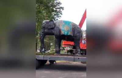 Поселку в Тверской области на день рождения подарили слона
