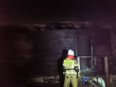 Двое детей стали жертвами пожара в Омской области