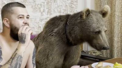 Человек со своим другом медведем кушают и смотрят мультик. Где же это могло произойти? (Видео)