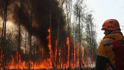 Путин объяснил масштабные пожары и паводки в России климатическими изменениями