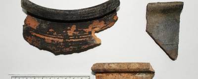 В Воронеже найдены археологические артефакты начала прошлого века