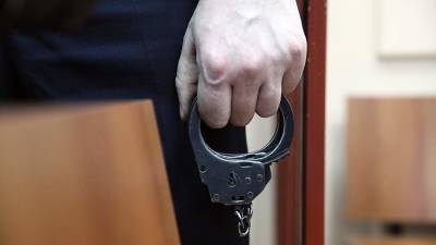 Ударившего двух полицейских участника незаконной акции в Петербурге осудили