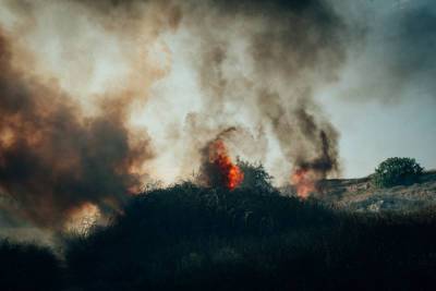 Почти шесть гектаров сухой травы выгорело за день в Севастополе