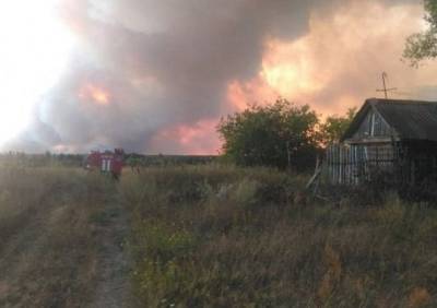 Кадом накрыло дымом от горящего заповедника в Мордовии