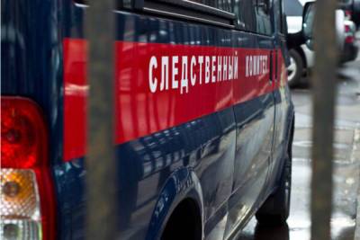 Наказание проводом от чайника: в Новосибирске возбуждено уголовное дело после жестокого избиения ребенка – Учительская газета
