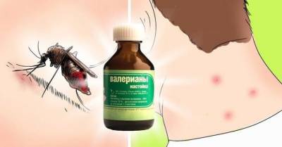 Народное средство от комаров