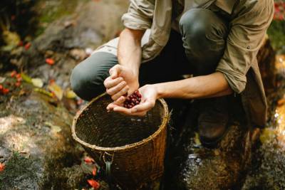 Ядовитые лесные ягоды в Ленобласти: как не стать жертвой интоксикации