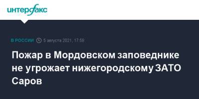 Пожар в Мордовском заповеднике не угрожает нижегородскому ЗАТО Саров