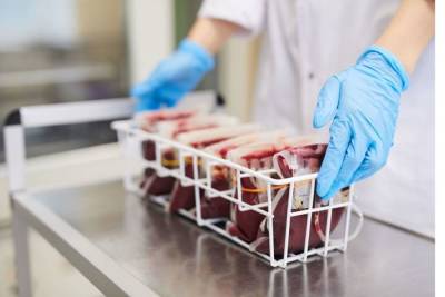 Петербуржцы с иммунодефицитом могут умереть из-за нехватки донорской крови