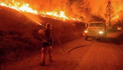 Природный пожар в Калифорнии охватил площадь более 110 тыс. гектаров