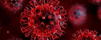 В Великобритании нашли план по борьбе с коронавирусом, разработанный в 2005 году